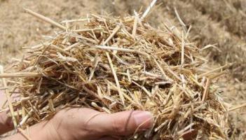 生物質(zhì)應(yīng)從傳統(tǒng)利用方式變成資源 “變廢為寶”可以更高效