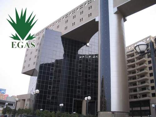 埃及宣布在27個(gè)行業(yè)舉辦兩次世界石油和天然氣勘探招標(biāo)