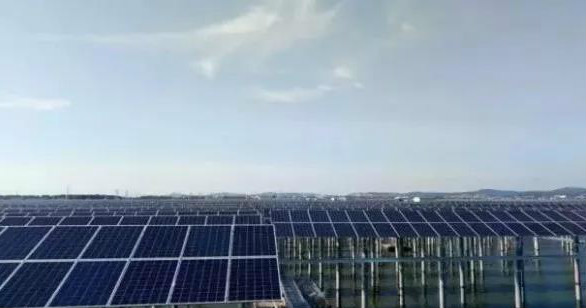 晶澳海外業(yè)務(wù)增長迅速 巴西、馬來西亞光伏電站均采用其高效單晶PERC組件