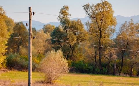 為振興黑山配電網(wǎng)絡(luò)，CEDIS將在分銷網(wǎng)絡(luò)上投資8160萬(wàn)歐元