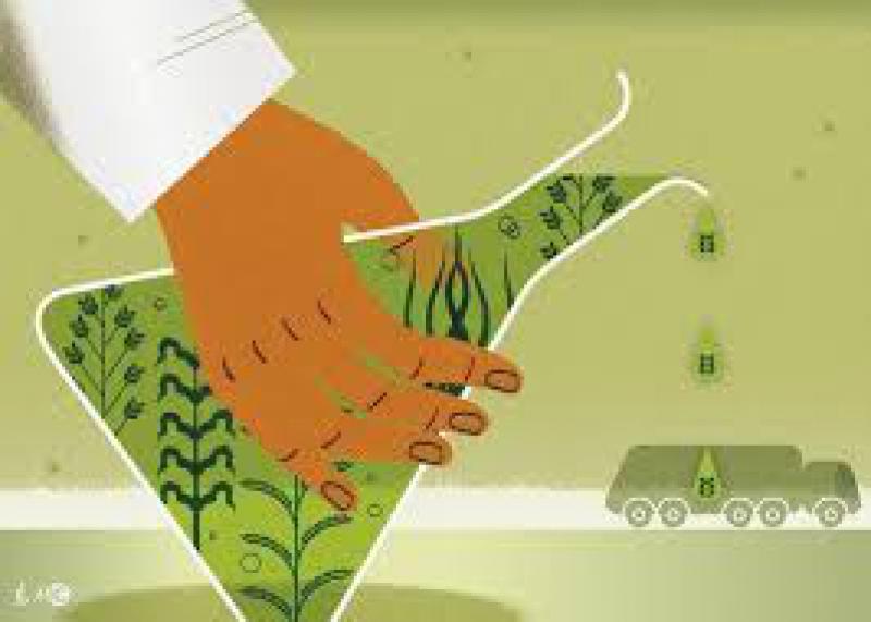 韓國7月份乙醇進(jìn)口量環(huán)比下降41%