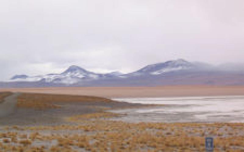 RFP：技術(shù)協(xié)調(diào)地?zé)衢_發(fā)，Laguna Colorada，玻利維亞