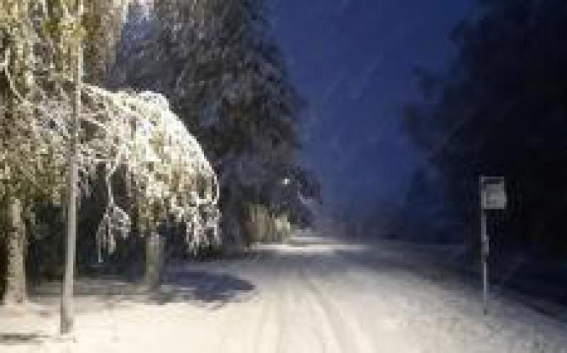 愛沙尼亞南部地區(qū)受暴風(fēng)雪影響，致數(shù)萬家庭無電