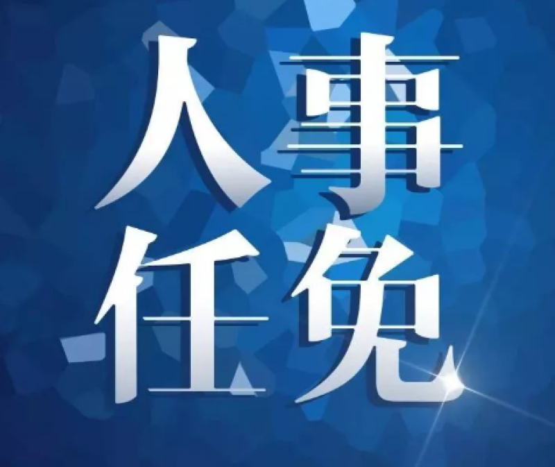 哈電集團(tuán)董事長(zhǎng)、黨委書(shū)記調(diào)整