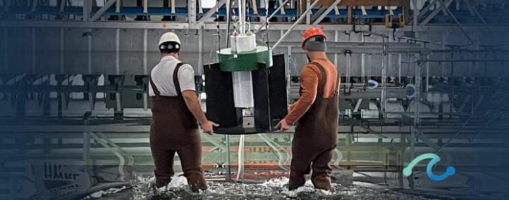 TEAMER計劃通過第16次RFTS批準(zhǔn)18個海洋能源項(xiàng)目