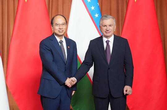 戴厚良拜會烏茲別克斯坦總統(tǒng)米爾濟約耶夫