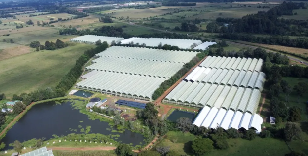 肯尼亞花卉種植園儲能系統(tǒng)實現(xiàn)清潔能源轉型