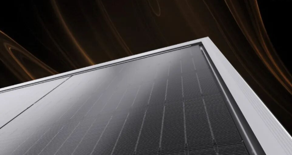 晶科能源飛虎3高效組件供應(yīng)法國分布式光伏市場